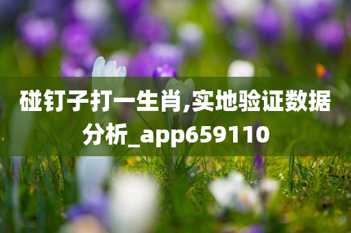 碰钉子打一生肖,实地验证数据分析_app659110