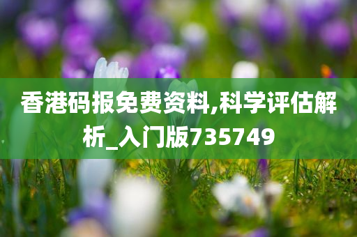 香港码报免费资料,科学评估解析_入门版735749