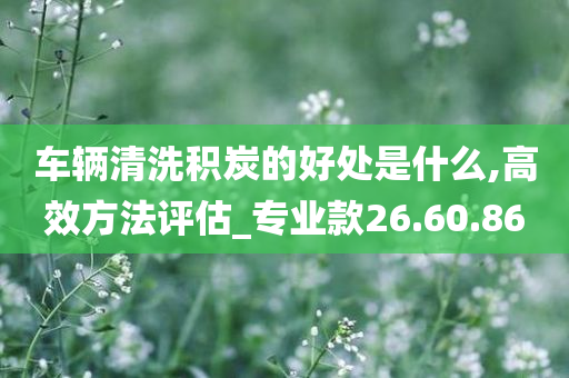 车辆清洗积炭的好处是什么,高效方法评估_专业款26.60.86