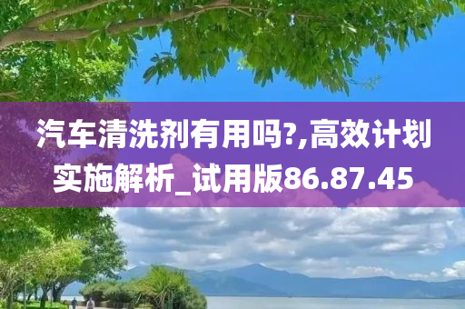 汽车清洗剂有用吗?,高效计划实施解析_试用版86.87.45