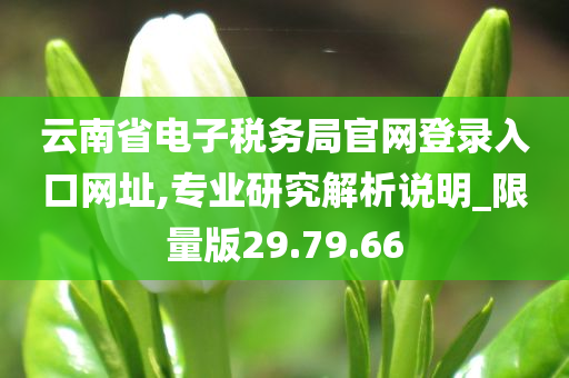 云南省电子税务局官网登录入口网址,专业研究解析说明_限量版29.79.66