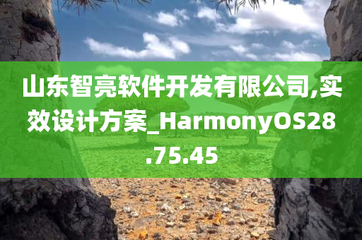 山东智亮软件开发有限公司,实效设计方案_HarmonyOS28.75.45