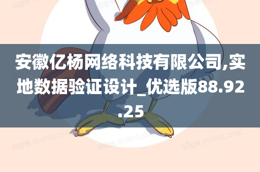 安徽亿杨网络科技有限公司,实地数据验证设计_优选版88.92.25