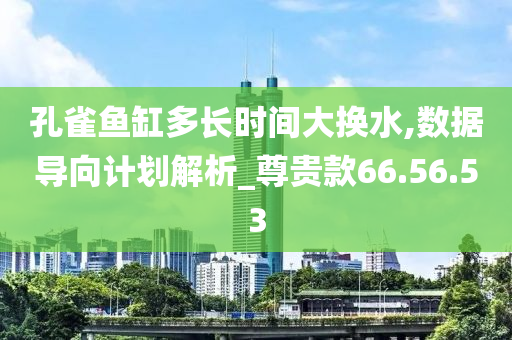 孔雀鱼缸多长时间大换水,数据导向计划解析_尊贵款66.56.53