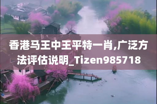 香港马王中王平特一肖,广泛方法评估说明_Tizen985718