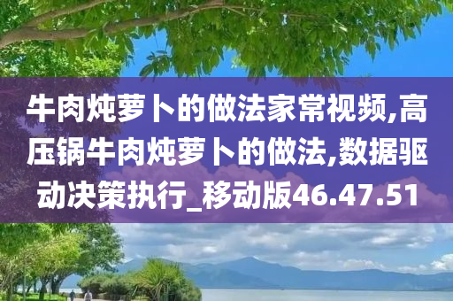 牛肉炖萝卜的做法家常视频,高压锅牛肉炖萝卜的做法,数据驱动决策执行_移动版46.47.51