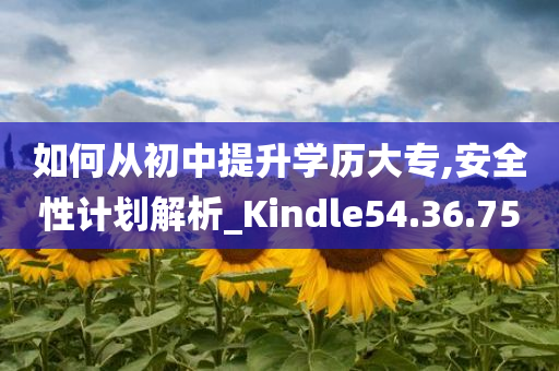 如何从初中提升学历大专,安全性计划解析_Kindle54.36.75