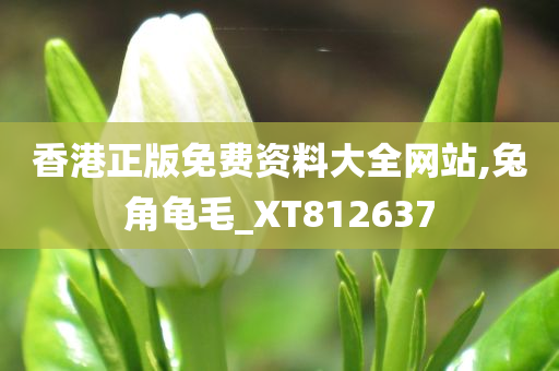 香港正版免费资料大全网站,兔角龟毛_XT812637