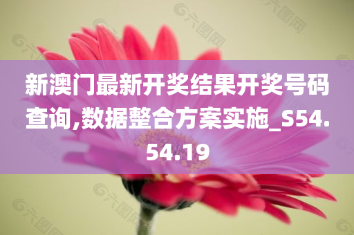 新澳门最新开奖结果开奖号码查询,数据整合方案实施_S54.54.19