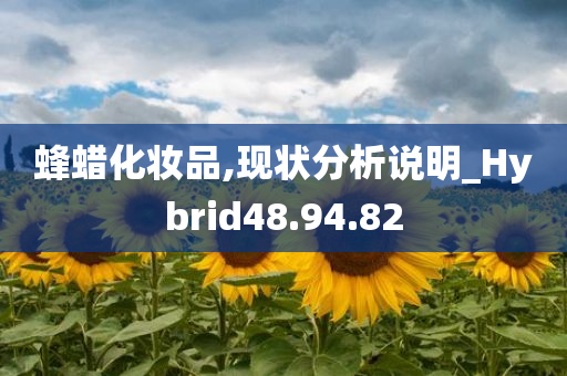 蜂蜡化妆品,现状分析说明_Hybrid48.94.82