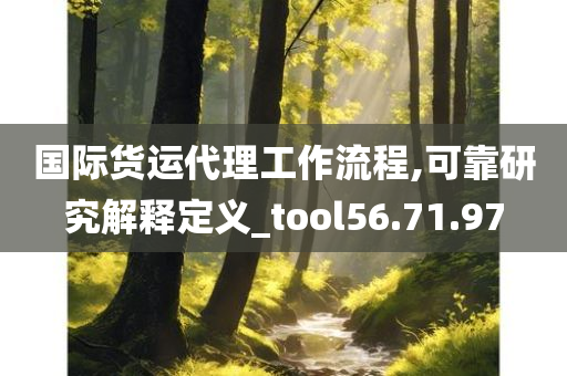 国际货运代理工作流程,可靠研究解释定义_tool56.71.97