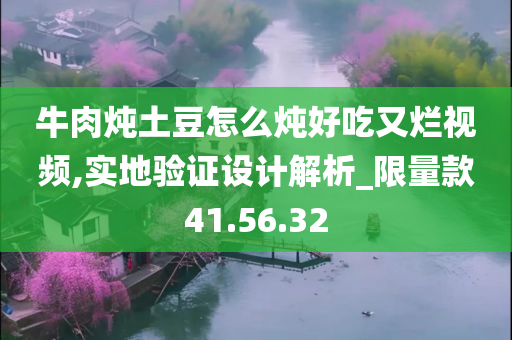 牛肉炖土豆怎么炖好吃又烂视频,实地验证设计解析_限量款41.56.32