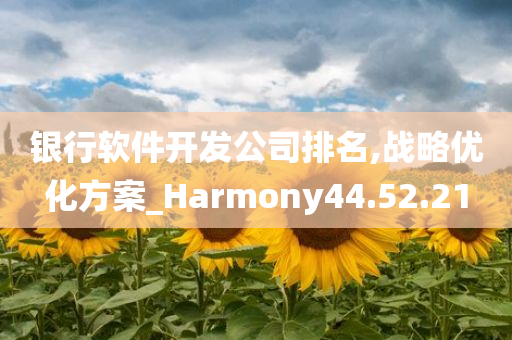 银行软件开发公司排名,战略优化方案_Harmony44.52.21