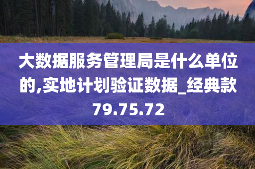 大数据服务管理局是什么单位的,实地计划验证数据_经典款79.75.72