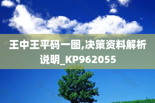 王中王平码一图,决策资料解析说明_KP962055