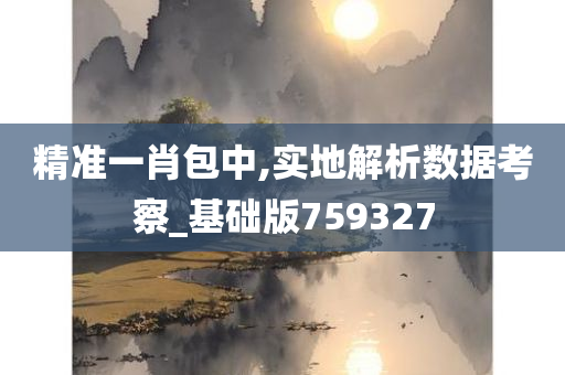 精准一肖包中,实地解析数据考察_基础版759327