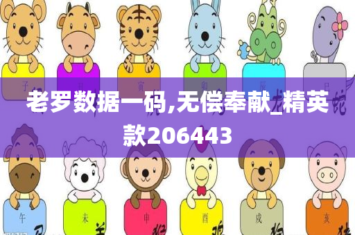 老罗数据一码,无偿奉献_精英款206443