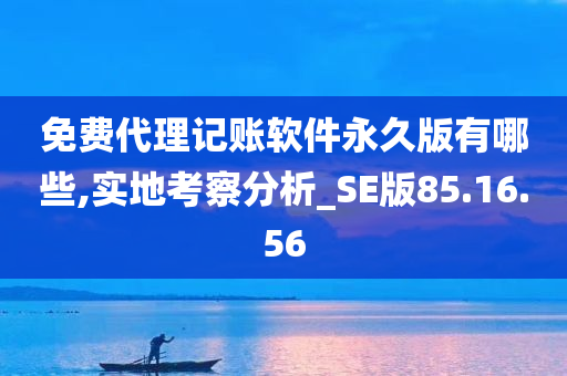 免费代理记账软件永久版有哪些,实地考察分析_SE版85.16.56