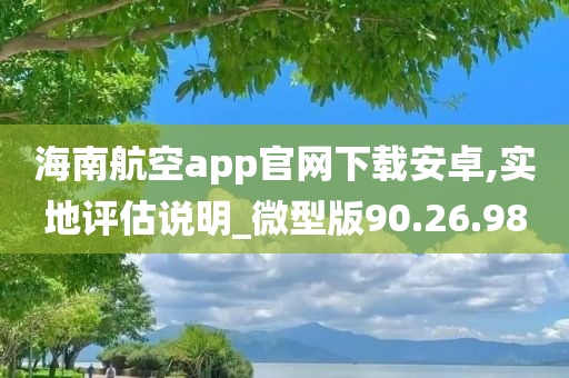 海南航空app官网下载安卓,实地评估说明_微型版90.26.98