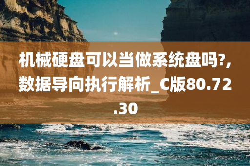 机械硬盘可以当做系统盘吗?,数据导向执行解析_C版80.72.30