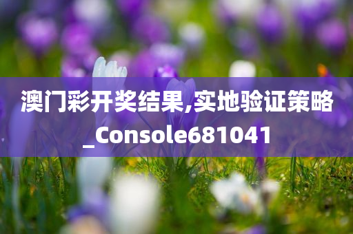 澳门彩开奖结果,实地验证策略_Console681041