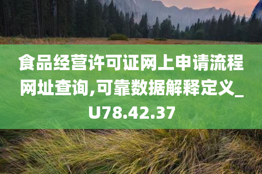 食品经营许可证网上申请流程网址查询,可靠数据解释定义_U78.42.37