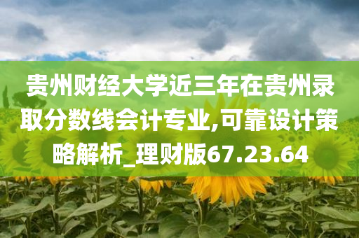 贵州财经大学近三年在贵州录取分数线会计专业,可靠设计策略解析_理财版67.23.64