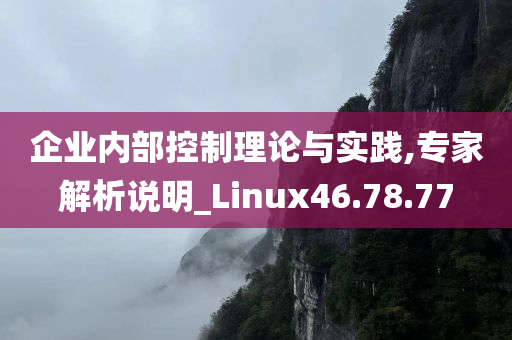 企业内部控制理论与实践,专家解析说明_Linux46.78.77