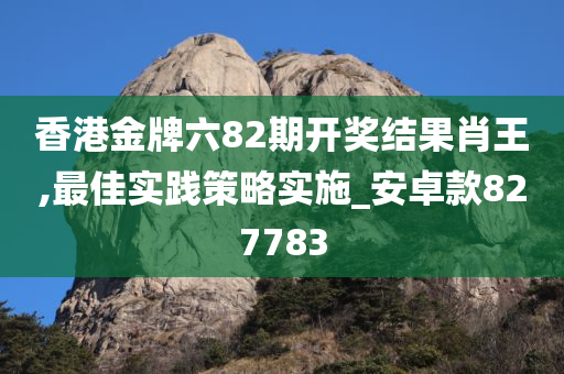 香港金牌六82期开奖结果肖王,最佳实践策略实施_安卓款827783