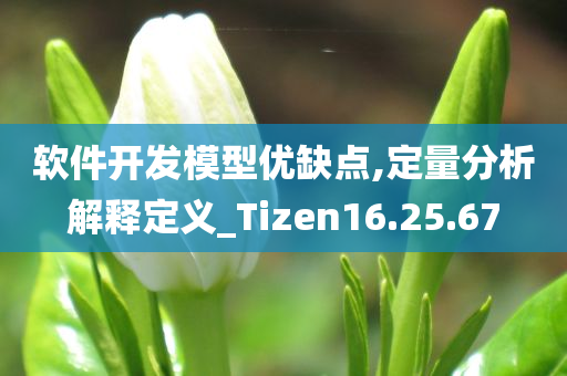 软件开发模型优缺点,定量分析解释定义_Tizen16.25.67