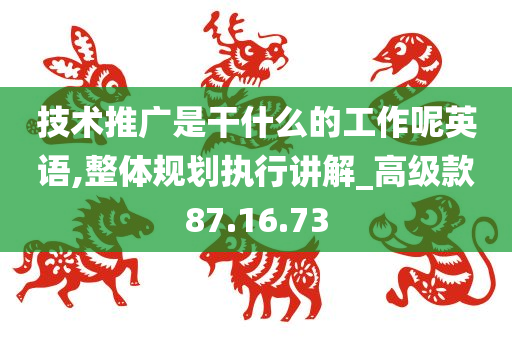 技术推广是干什么的工作呢英语,整体规划执行讲解_高级款87.16.73