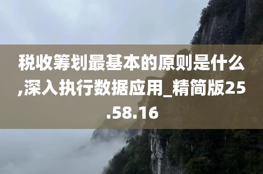 税收筹划最基本的原则是什么,深入执行数据应用_精简版25.58.16