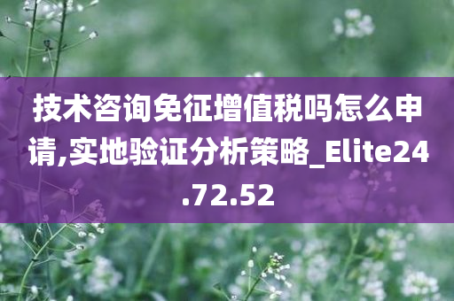 技术咨询免征增值税吗怎么申请,实地验证分析策略_Elite24.72.52