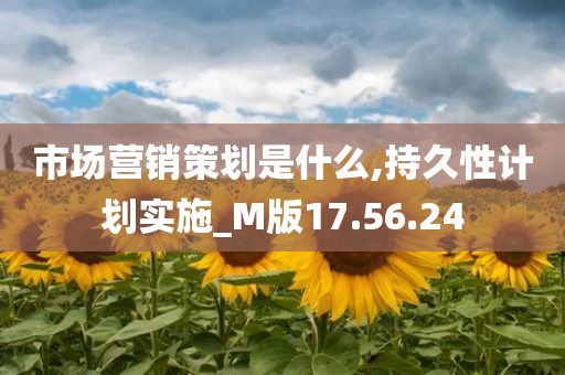 市场营销策划是什么,持久性计划实施_M版17.56.24