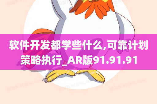 软件开发都学些什么,可靠计划策略执行_AR版91.91.91