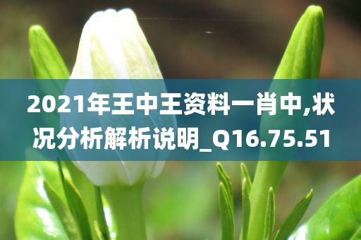 2021年王中王资料一肖中,状况分析解析说明_Q16.75.51