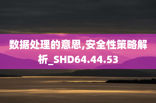 数据处理的意思,安全性策略解析_SHD64.44.53