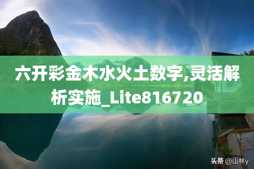 六开彩金木水火土数字,灵活解析实施_Lite816720