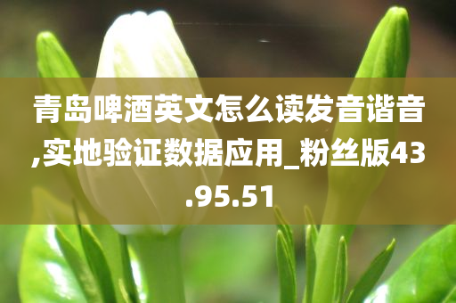 青岛啤酒英文怎么读发音谐音,实地验证数据应用_粉丝版43.95.51