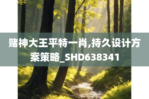 赌神大王平特一肖,持久设计方案策略_SHD638341