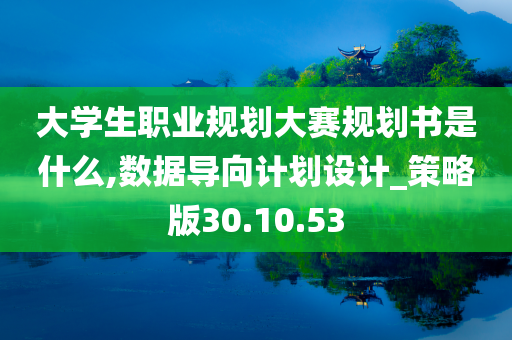 大学生职业规划大赛规划书是什么,数据导向计划设计_策略版30.10.53