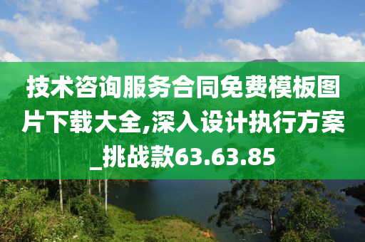 技术咨询服务合同免费模板图片下载大全,深入设计执行方案_挑战款63.63.85