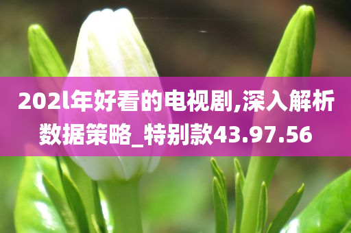 202l年好看的电视剧,深入解析数据策略_特别款43.97.56