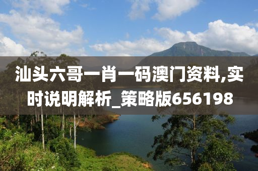 汕头六哥一肖一码澳门资料,实时说明解析_策略版656198