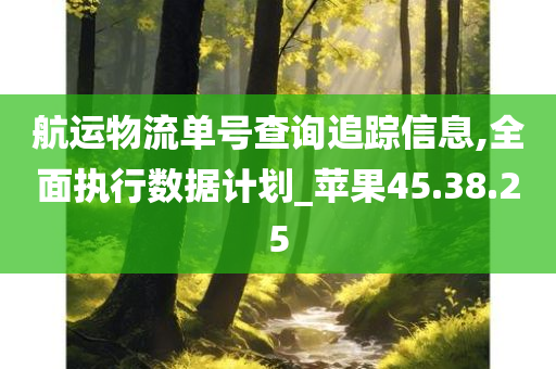 航运物流单号查询追踪信息,全面执行数据计划_苹果45.38.25