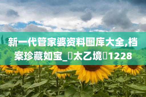 新一代管家婆资料图库大全,档案珍藏如宝_‌太乙境‌1228