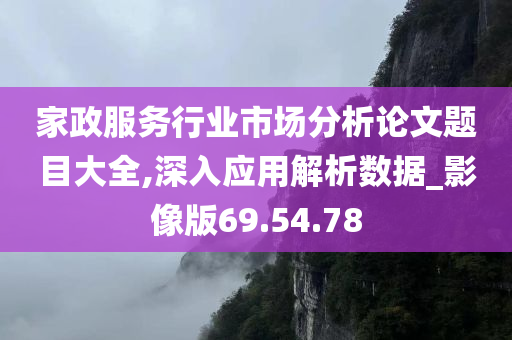 家政服务行业市场分析论文题目大全,深入应用解析数据_影像版69.54.78