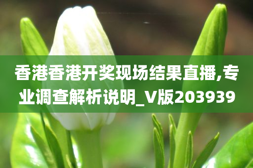 香港香港开奖现场结果直播,专业调查解析说明_V版203939