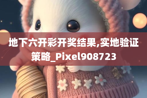 地下六开彩开奖结果,实地验证策略_Pixel908723