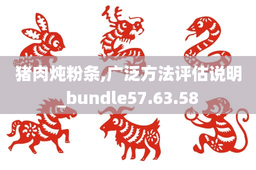 猪肉炖粉条,广泛方法评估说明_bundle57.63.58